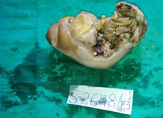 src=